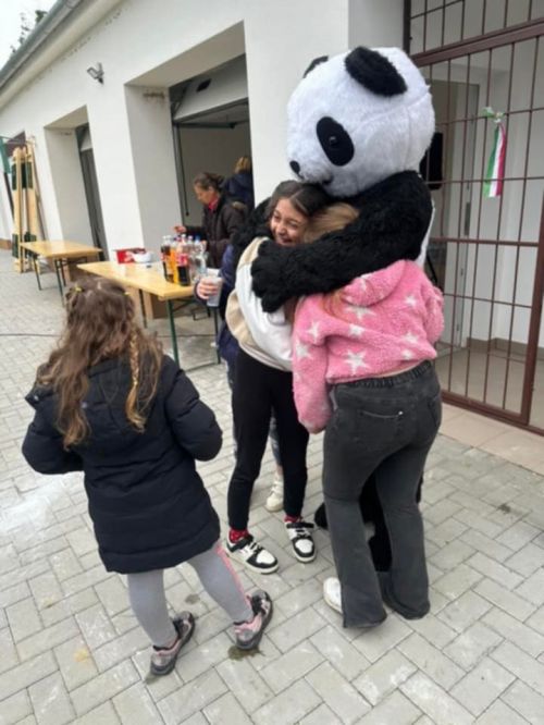 Porrog 2025.05.23. Ködből palotát 4225.