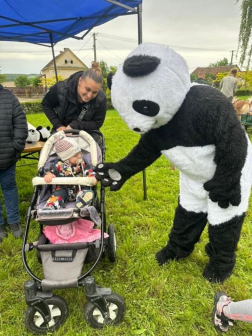 Porrog 2025.05.23. Ködből palotát 4233.